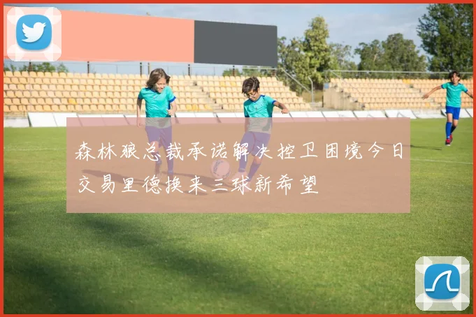 森林狼总裁承诺解决控卫困境今日交易里德换来三球新希望