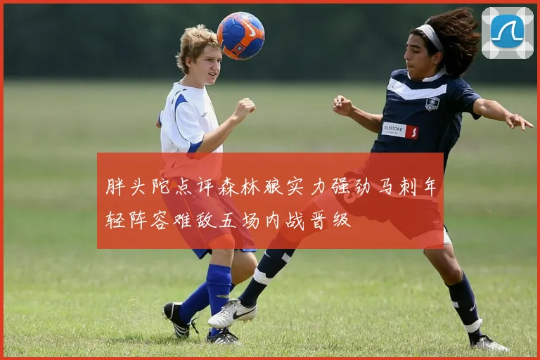 胖头陀点评森林狼实力强劲马刺年轻阵容难敌五场内战晋级