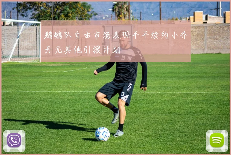 鹈鹕队自由市场表现平平续约小乔丹无其他引援计划